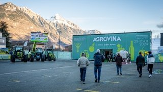 Agrovina schliesst mit einer mehr als positiven Bilanz ab